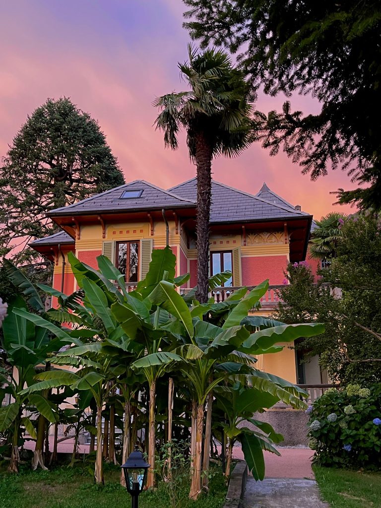 Colorful house with palm trees